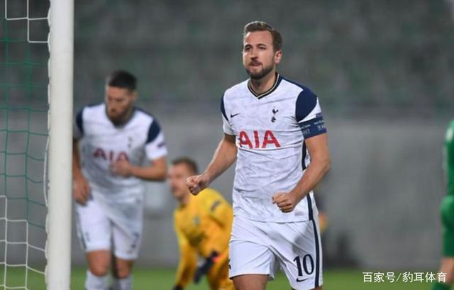 新增的花卉 新增的花卉